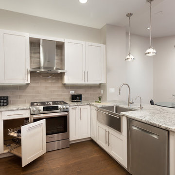 Gold Coast Chicago Kitchen Design & Remodel