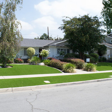 Front Yard Do Over