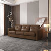 ACME Noci Sleeper Sofa in Brown Leather