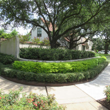Backyard Garden Bed