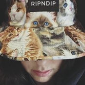 Randi Rossさんの写真