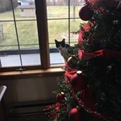 Reba Culler Smith's photo