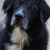 Leslie Gallo's photo