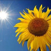 Becci Struve's photo