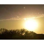 Shannon Cosgrove Thompson's photo