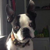 Jenny Solberg's photo