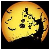 Foto von Annie Major
