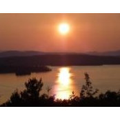 Joanne Pendergast's photo
