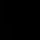 ssarose