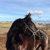 Jodi Simpson's photo