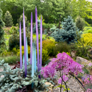 Black Stockings Thalictrum.
