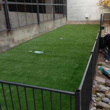 Downtown Denver apartment building dog run