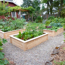 Yard Garden