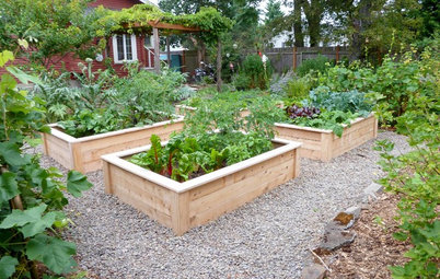 What to Do in Your Edible Garden After the Summer Harvest