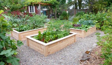 12 Tips to Help You Start an Edible Garden