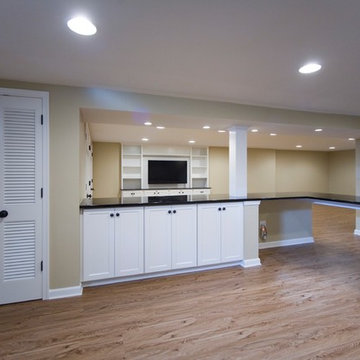 Berwyn New Basement for Young Family