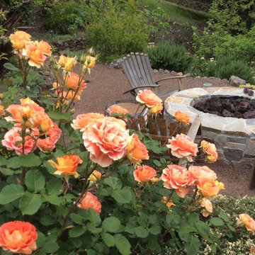 Vacation At Home In Orinda