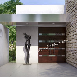 Modern contemporary entry doors - Front Doors
