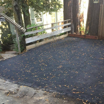 Most Recent Projects