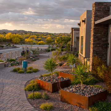 A Stroll through a Tucson Neighborhood
