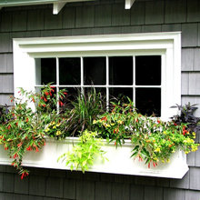 window box