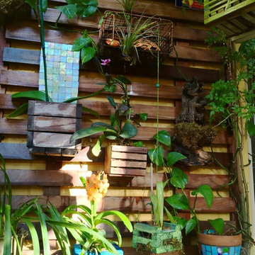 Orchid Wall