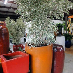 Container gardening - Products