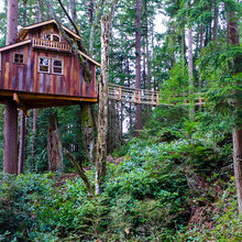 treehouse