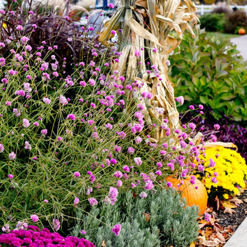 Houzz TV: Take a Leaf-Peeping Road Trip in New England