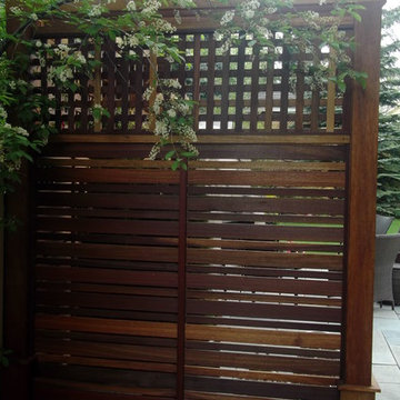 Signal Hill Fireplace/Kaju screen