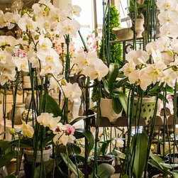 Boutique + Garden Center - Home Decor