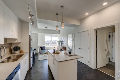 Example of a minimalist kitchen design in Edmonton
