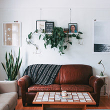 Bringing outdoors in