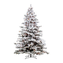 Wish List