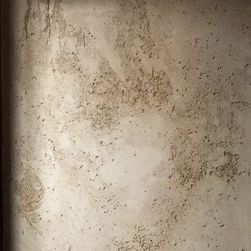 Wall Plaster