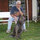 michael_galloway9040