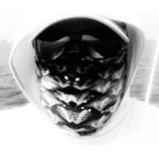 Mike Mangum's photo