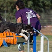 Foto di Yael Hazan