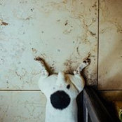 Abigail Steed's photo