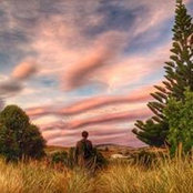 Michael Olson's photo