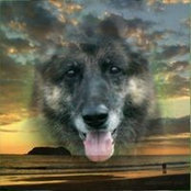 Charlotte Thomas's photo