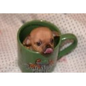 Mimi Durb's photo