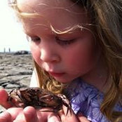 Debbie Samson's photo