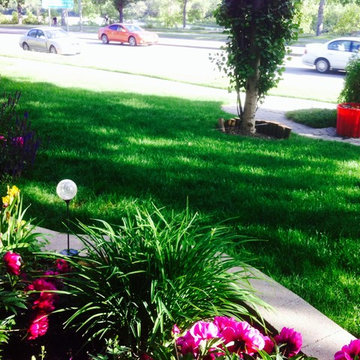 Landscaping Design/Build