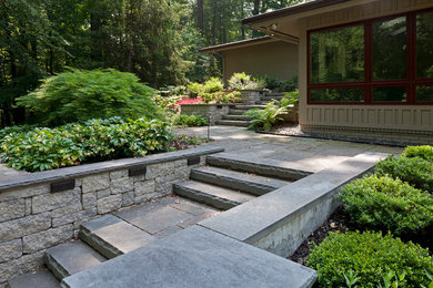 Photo of a modern landscaping in Baltimore.