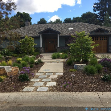 Front Lawn Removal - Craftsman Home in Los Altos