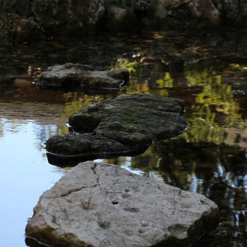Backyard Pond