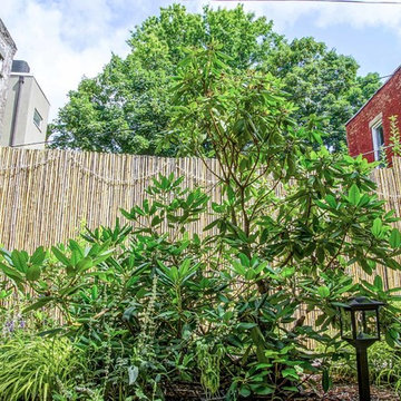 Fort Greene Shade Garden