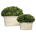 Uttermost - Uttermost 60107 Oval Domes Preserved Boxwood Set/2 - Preserved While Freshly Picked, Natural Evergreen Foliage Looks And Feels Like Living Boxwood Potted In Mossy, Stone Finished Terracotta Planters. Sizes: Sm-
