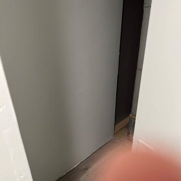 Turn closet into half bath